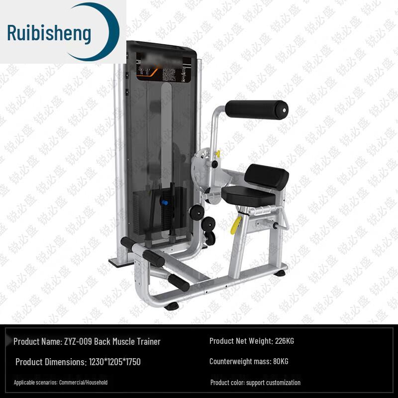 Ruibisheng Commercial & Home Fitness Equipment