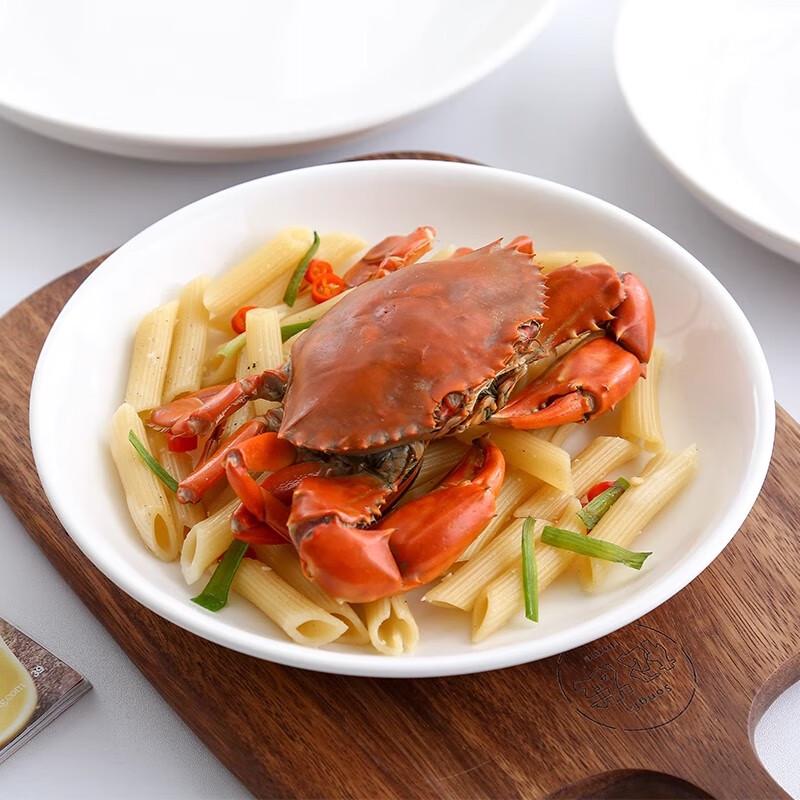 Pure White Ceramic Round Dinner Plate