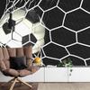 Photomural 3D Soccer Ball In Net Washable Fleece 254x184