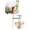 Herzglasvase und Halterung Transparente herzförmige Glas-Hydrokulturvase mit Ständer für das Wohnzimmer