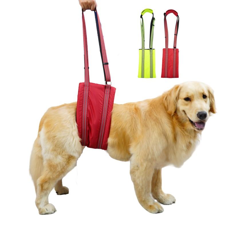 Köpek Arka Bacak Destek Koşumu Yaşlı veya Yaralı Köpekler İçin Ayarlanabilir Hareketlilik Yardımcısı Küçük Orta Büyük Irklar