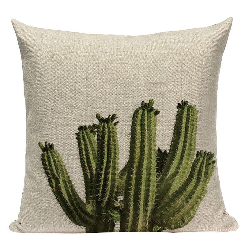 cactus cushion