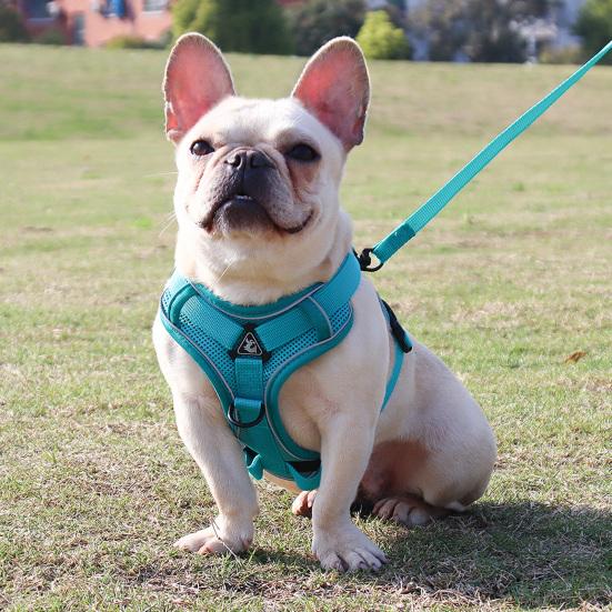 Yousheng Pet Harness Leash Reflective Stripes Anti-pull Breathable Pet Dogs Cats Harness Traction Rope Set for Pet Training