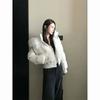 Ladies Down Padded Jacket Lapel Fashion Joker Winter Coat Temperament Korean Women Outwear