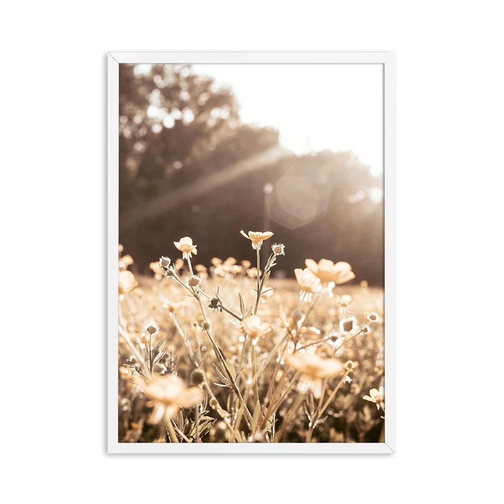 Autumn Flower Sunrise Nature Landscape CanvasPainting Poster Print Green Grass Scandinavian Style Wall Art  Nordic Picture Decor