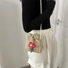 Stylish 2023 Summer Fashionable Woven Crossbody Bag For Women Chic Bucket Bag