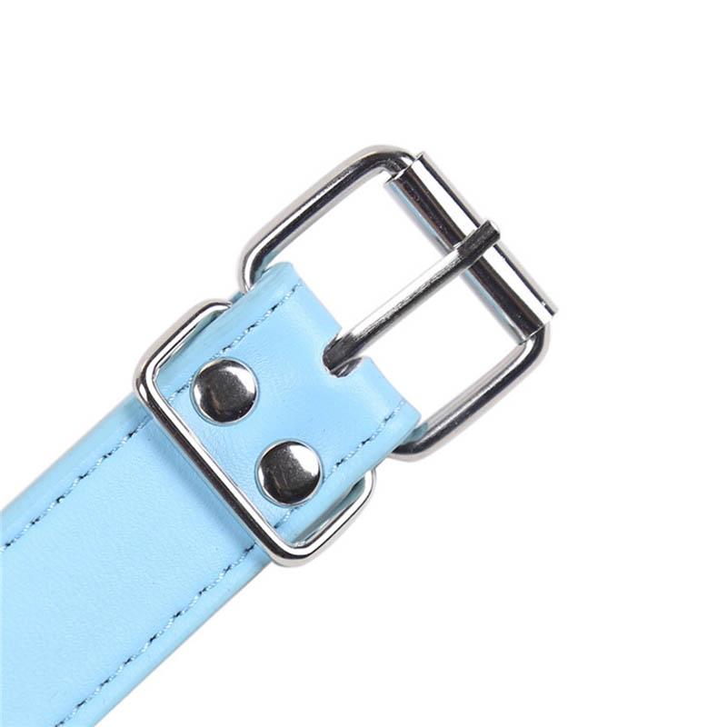 Pink Blue Silicone Dog Bone Gag Puppy Pony Pet Play   Restraints Gags