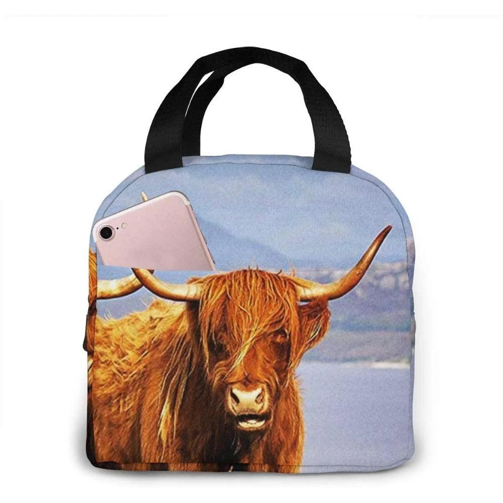Genți de prânz amuzante cu vacă Highland pentru bărbați femei cutie de prânz izolată geantă tote frigorifică pentru muncă călătorie picnic, Multicolor
