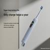 ApiYoo Smart Sonic Electric Toothbrush CN plug (adapter included)