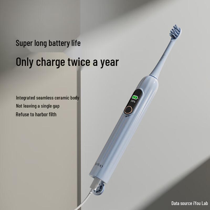 ApiYoo Smart Sonic Electric Toothbrush CN plug (adapter included)