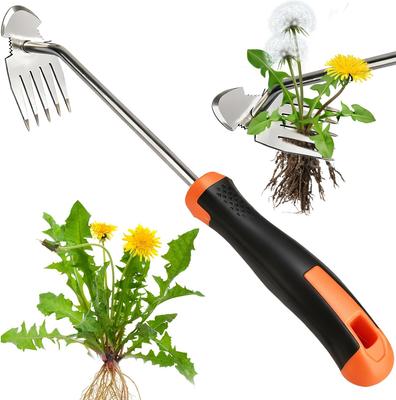 Cura delle piante – Utensili per combattere le erbe infestanti