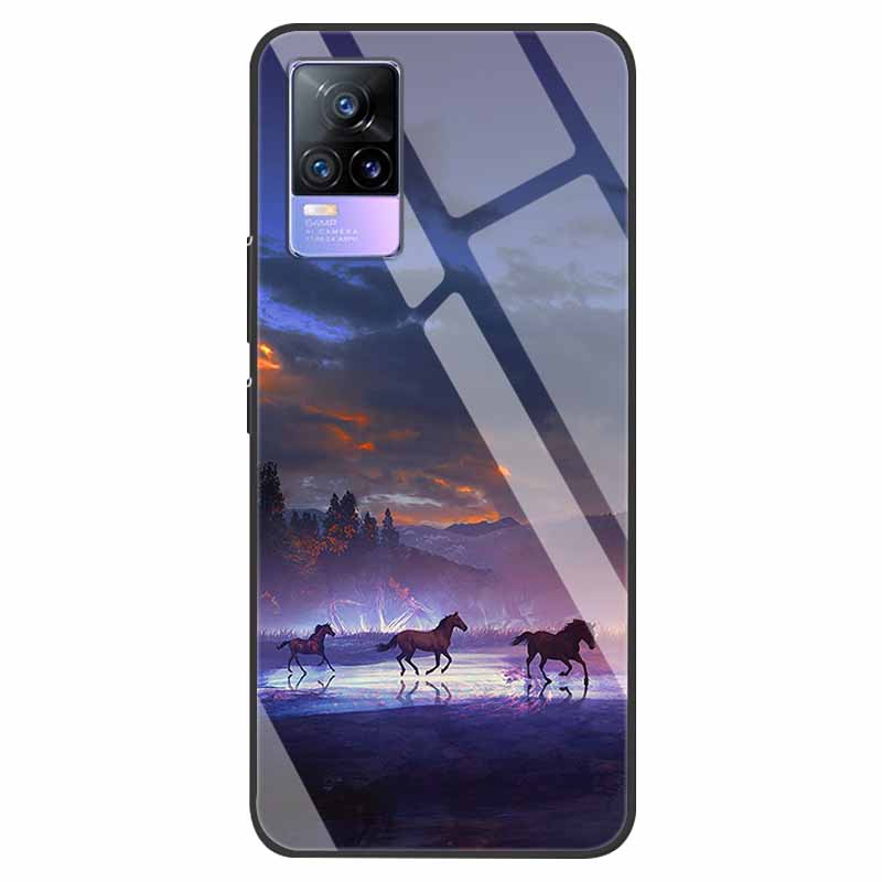 For VivoV21 5G Tempered Glass Case for Vivo V21 5G Soft Bumper Hard Funda For Vivo X60 Pro Global Phone Case X60 5G 2021 Cover