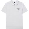 Lettered Polo Shirt Men Tops Ice-Gray F71M429106F-GY
