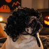 Funny Dog Hairpiece Pet Wig, Cute Bob Cut Cat Afro Curly Wig with Adjustable Cosplay Elastic Band, Breathable for Dogs, Cats Halloween Party Headwear