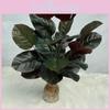 Synthetic Green Plant With 26 Leaves For Wedding Props And Home Interior Styling