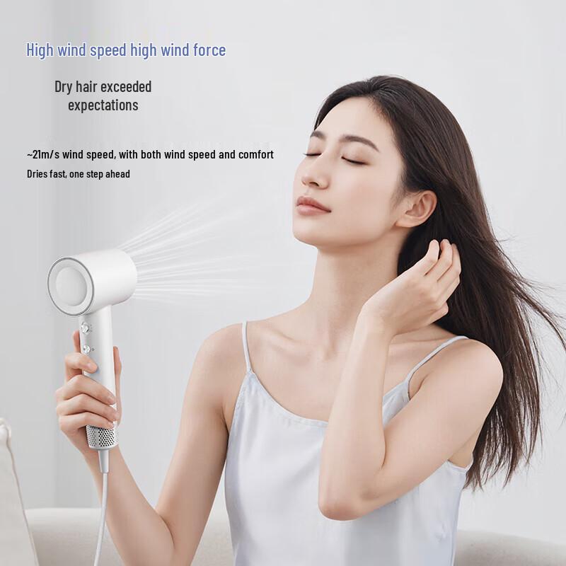 Xiaohuaxian Portable Ionic Hair Dryer