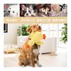 Duck Toy, Chewing Duck Stuffed Animal, Makes Sound, Relieve Stress, Relieve Lack of Exercise, Brushing Teeth, Sturdy, Small/Medium/Large Dog Present,