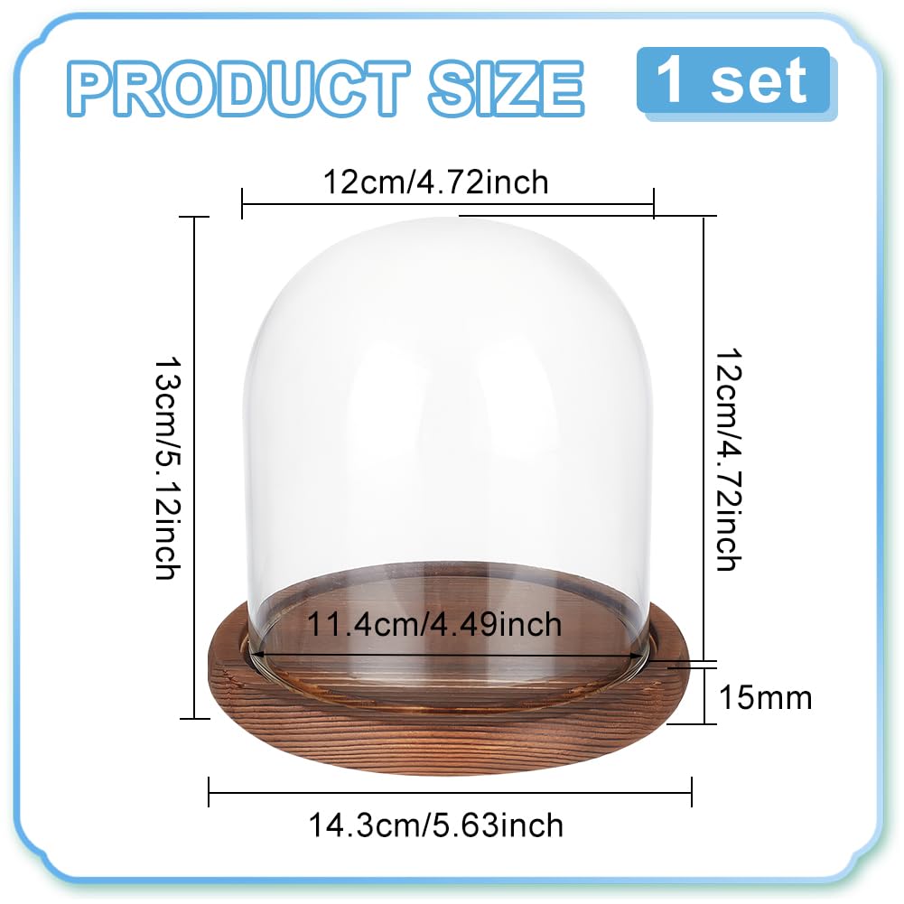BENECREAT 14x13cm Transparent Eternal Flower Glass Cover Cloche Dome Micro Landscape with Wood-Colored Base for DIY Flower Crafts