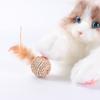 Katzenspielzeug, Feder, Rattan, Glocke, Klangball, Haustierhund, Pflanze, Doppelball-Set, Interaktiv und Kaubar
