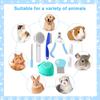8-piece cat brush beauty set pet self-cleaning set with pet nail clippers and files flea comb pet shower brush
