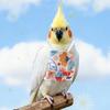 Adjustable Bird Flight Suits Anti Pinch Design Bird Traction Rope  Bird Training