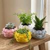 Plastic Growing Pots Lotus Shaped Flower Container Keys Holder Succulent Plant Pot for Living Room