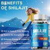 Pslalae Pure Shilajit Resin Capsules 2000mg Enhance Liver Metabolism Lowering Blood Sugar & Anti-Fatigue Energy Support for Men & Women