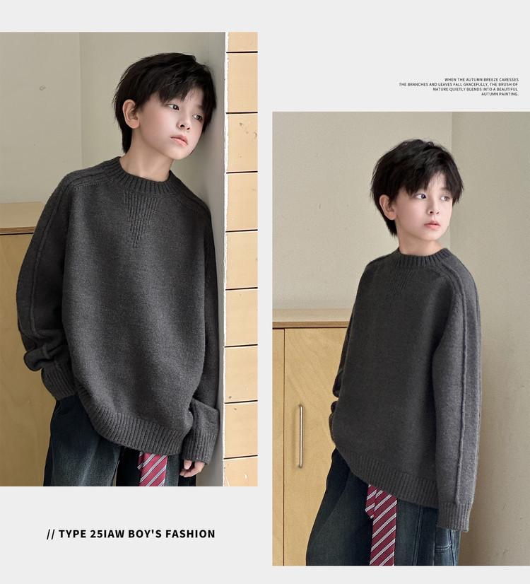 Men's Crew Neck Sweater: 2025 Autumn/Winter Casual Knit, Long Sleeve Pullover Loose Fit