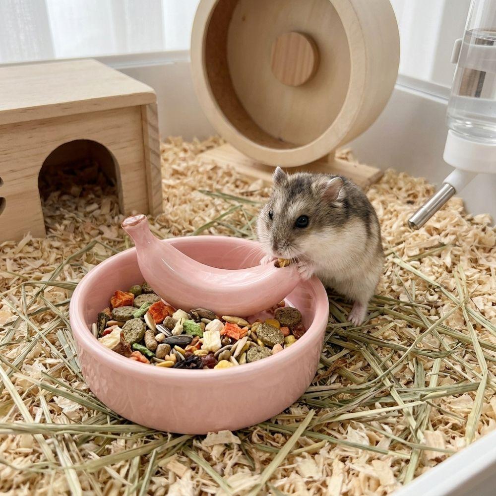 Wide Mouth Pet Feeding Bowl Fruit Shape Tortoise Feeding Dish Bird Feeding Dish  Small Pet