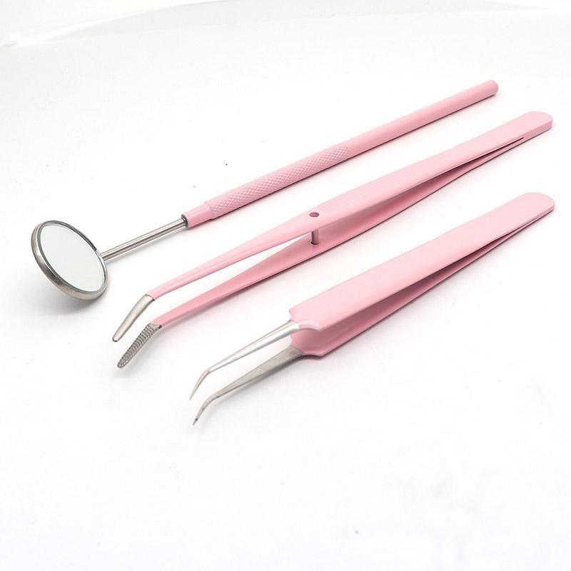 3Pcs Dental Probe Mouth Mirror Tweezers Stainless Steel Pink Color Double Heads Hygiene Explorer Probe Hook Dentist Tool