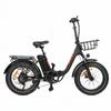 BAOLUJIE DZ-2030 Electric Bike 20*4.0'' Inch Tires 500W Motor 48V16AH Battery Max Speed 40KM/H Mechanical Disc Brakes