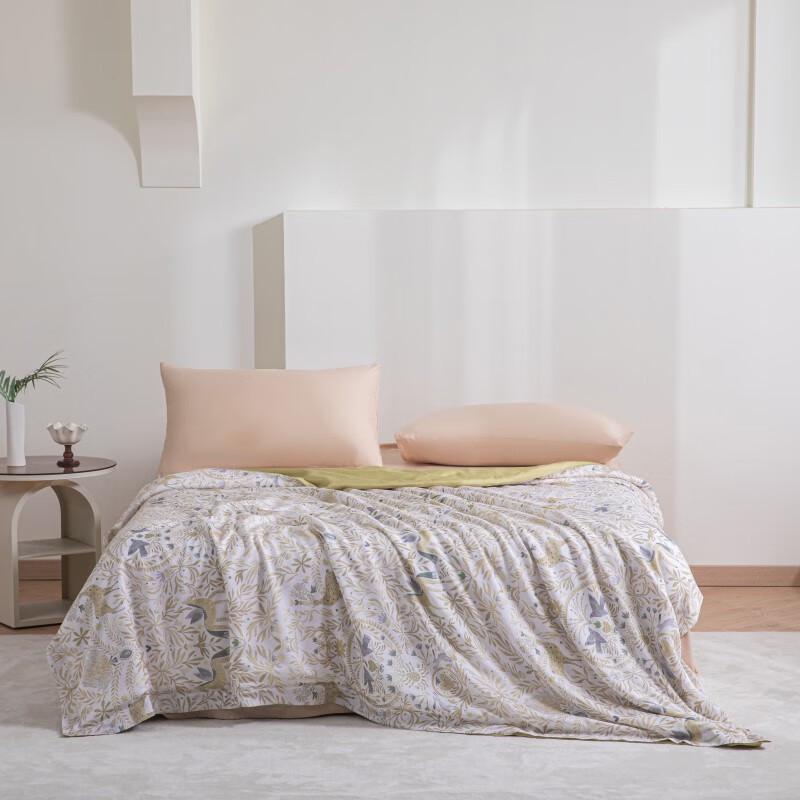 

Canhua Niangniang Antibacterial Silver Lyocell Mulberry Silk Summer Quilt Set