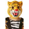Childrens/Kids Mr Tiger Costume