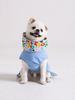 ANGEL DOG Premium Trench Puppy Raincoat Sky Blue
