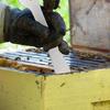 Comfortable Hives Scraper for Honeys Harvesting Stainless Steel Beekeeping Tool for Beekeepers and Agricultural Workers