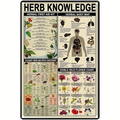 1pc Herbal Knowledge Aluminum Sign Metal Sign Herbal First Aid Kit Infographic Poster Pharmacist Study Guide