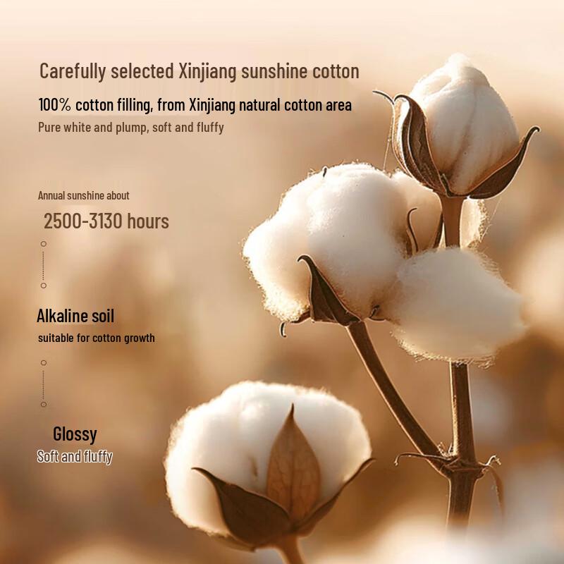 MUJI 100% Xinjiang Cotton Duvet