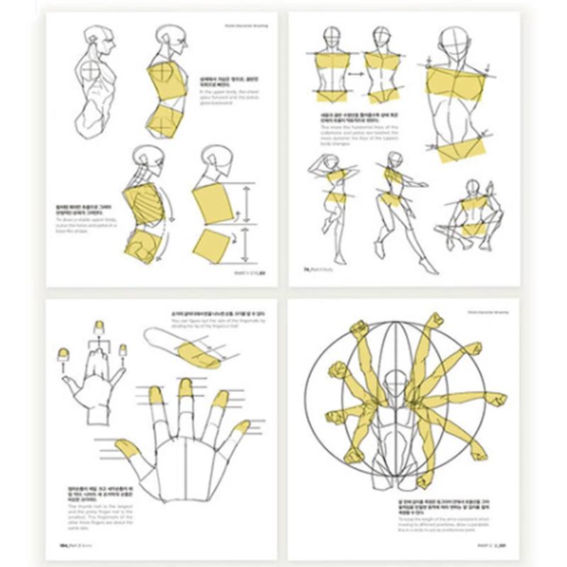 TACO Bod Kresba postavy od Lezhin Průvodce kreslením lidského těla Korejština Angličtina