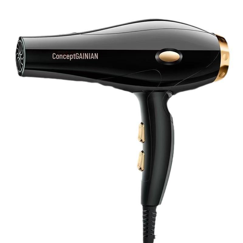 High-Power Hair Salon Dryer for Homes