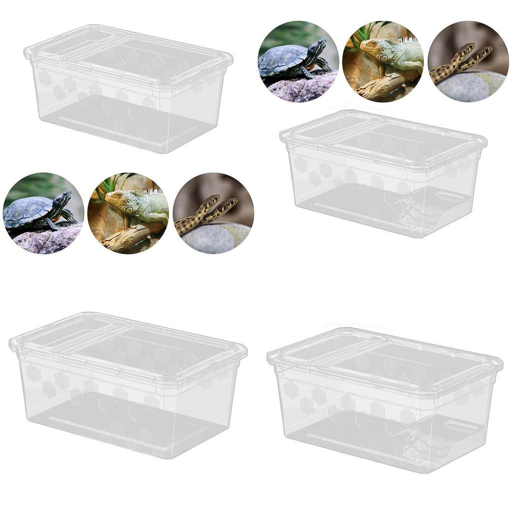 Futterbox für Reptilien, durchsichtiges Terrarium, wiederverwendbarer Brutbehälter, Tierhalter für Frösche, Bartagamen, Schlangen und andere Kleintiere