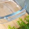 Glass Ovenproof Dish with Lid 3.1+2.6 L