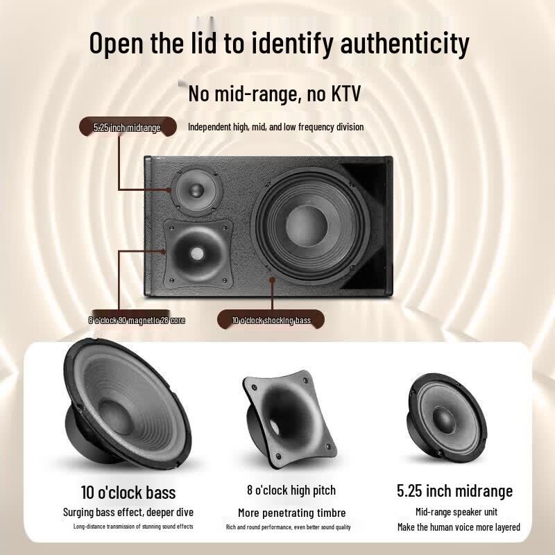 SAST Home Theater KTV Karaoke Audio System (CN version)