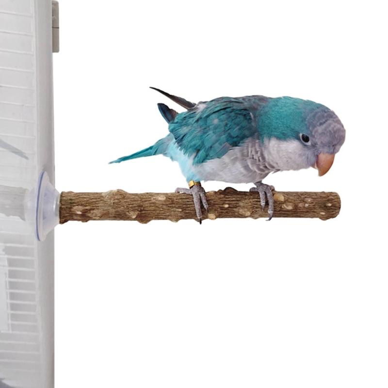 2PCS Bird Perch Stand With Strong Suction Cup For Parrots And Small Bird Indoor Training Exercise Enrichment Accessory
