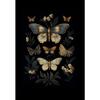 Vintage Dark Academia Moths Victorian Gothic Insect Illustration Art Posters Canvas Painting Wall Prints Picture Room Home Decor