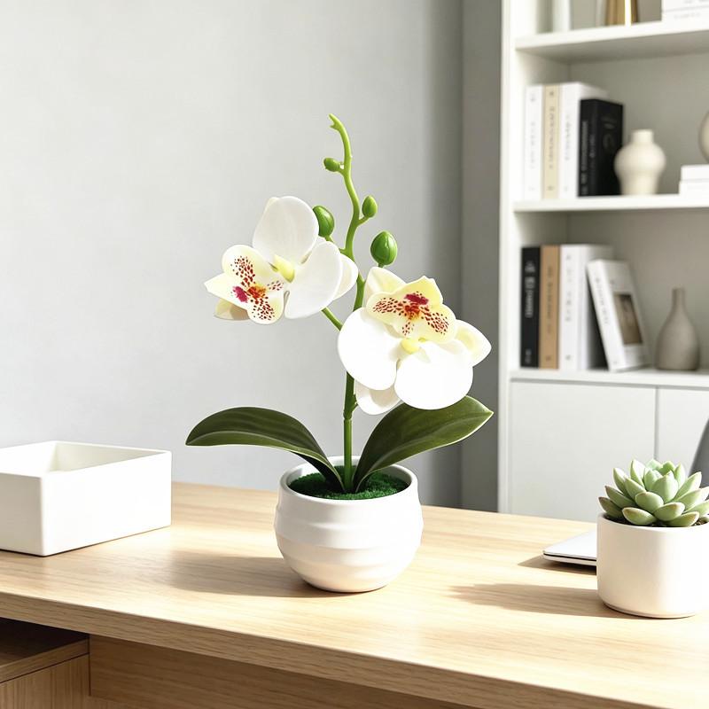 Butterfly Orchid Artificial Plant With Textured Plastic For Photography And Home Decor