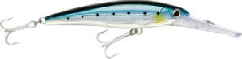 Rapala Magnum Minnow 14cm 46g Sardine BSRD Lure X-Rap XR20MAG-BSRD