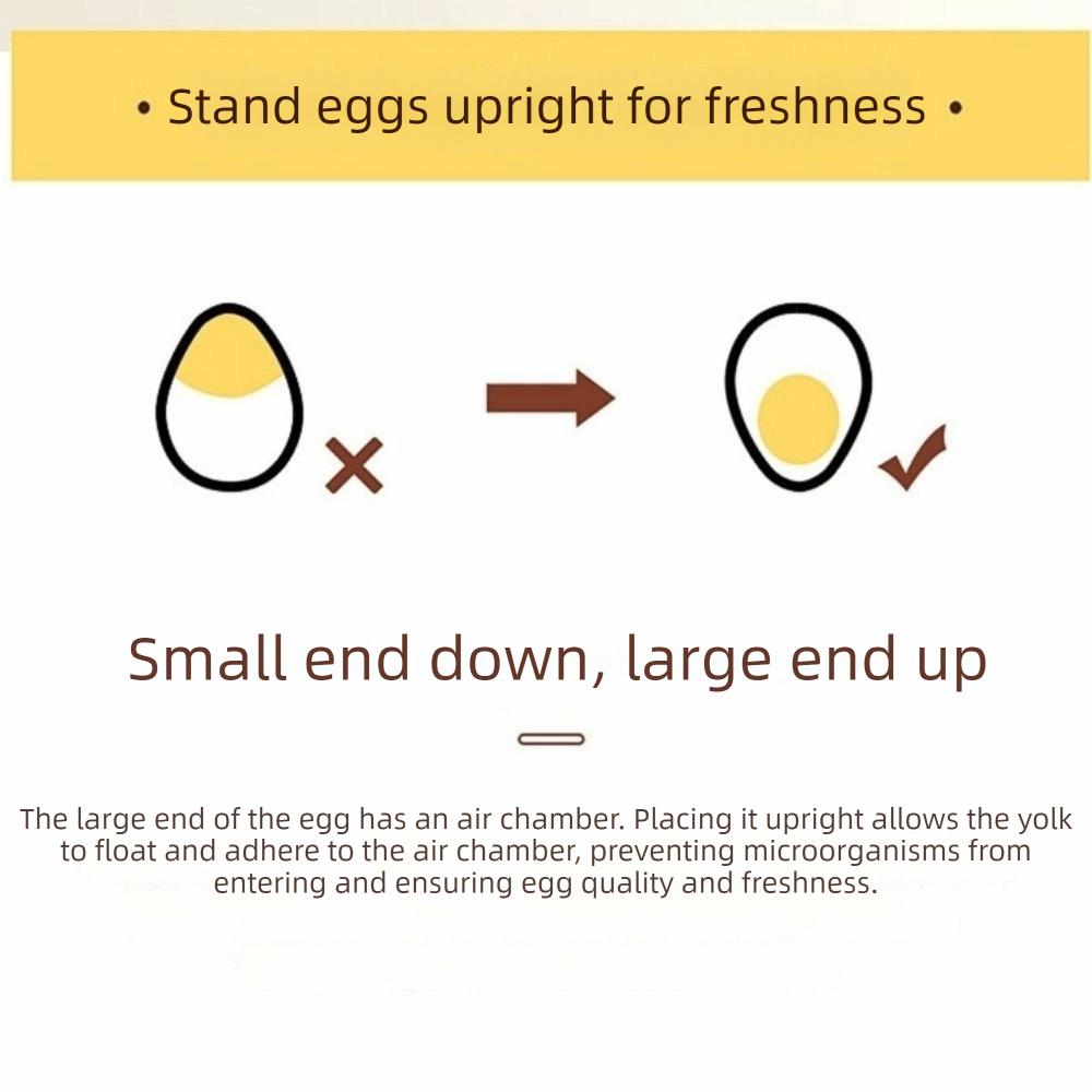 Große Kapazität Eieraufbewahrungsbox Platzsparende Eieraufbewahrungsschale Langlebiger Großer Eierhalter Küche