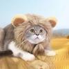 Cute Lion Mane Cat Wig Pet Small Dog Cats Costume Lion Mane Wig Cap Hat for Cat