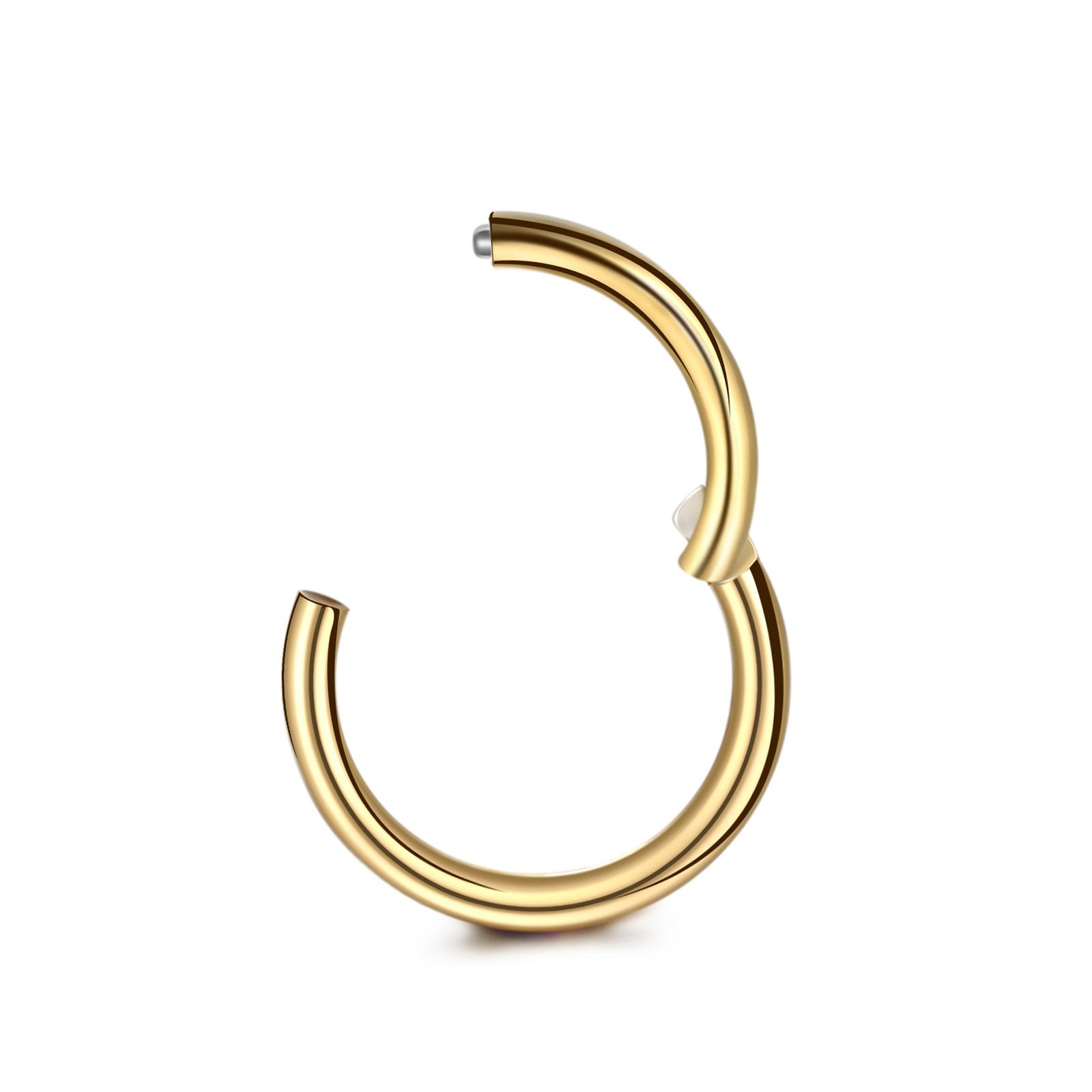 1 Stück 316L Edelstahl Nasenscheidewand Clicker Scharnier Segmentring Nasenringe Lippe Ohrknorpel Ohr Helix Körperschmuck 16G 1.2x8mm