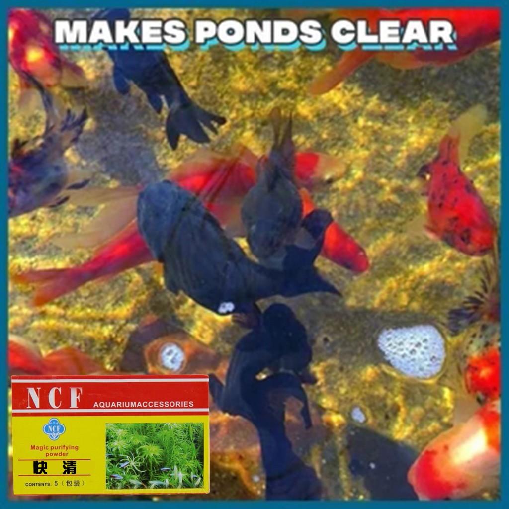 Eco-Aquarium Purifying Powder   Agent Tank moss remover Aquarium